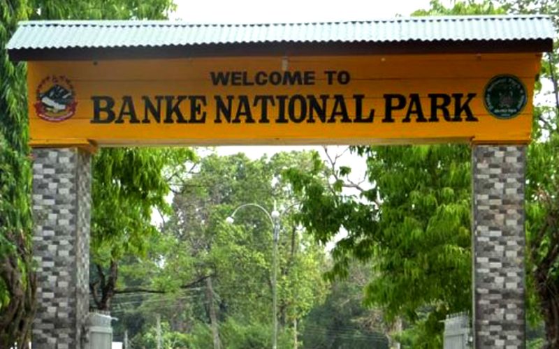 Banke-National-Park Banke-National-Park