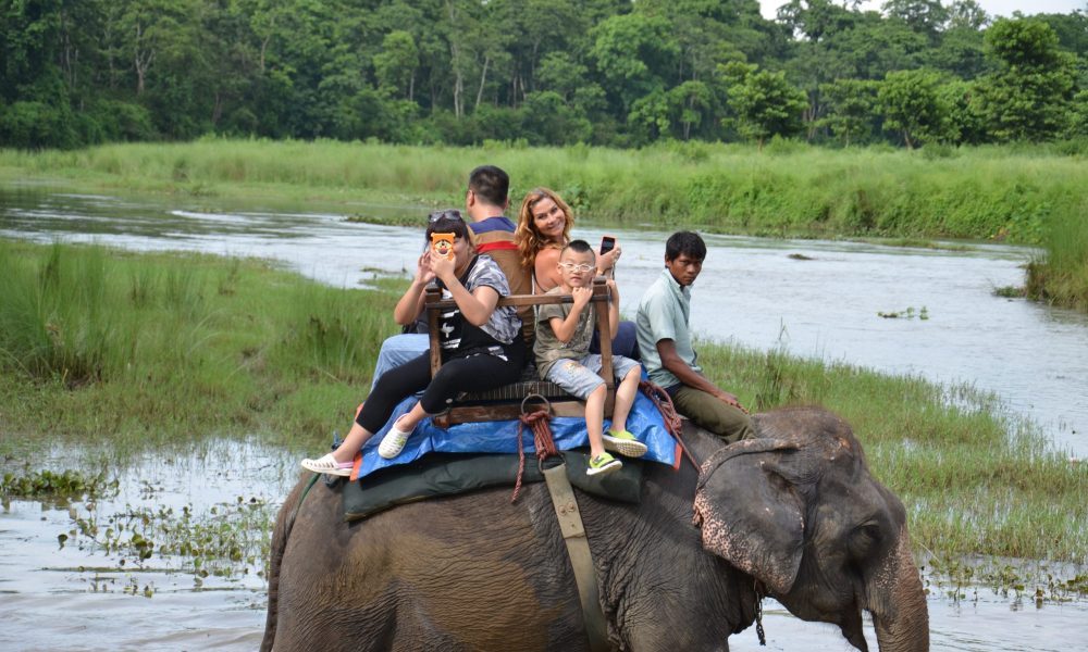 Chitwan National Park Jungle Safari