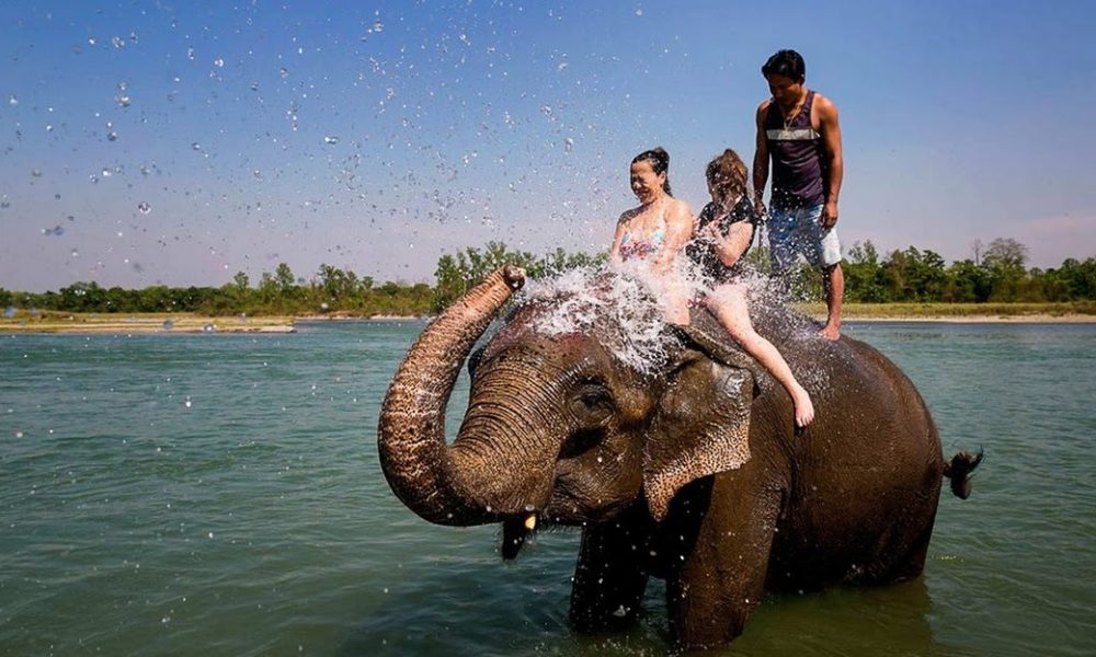 chitwan2